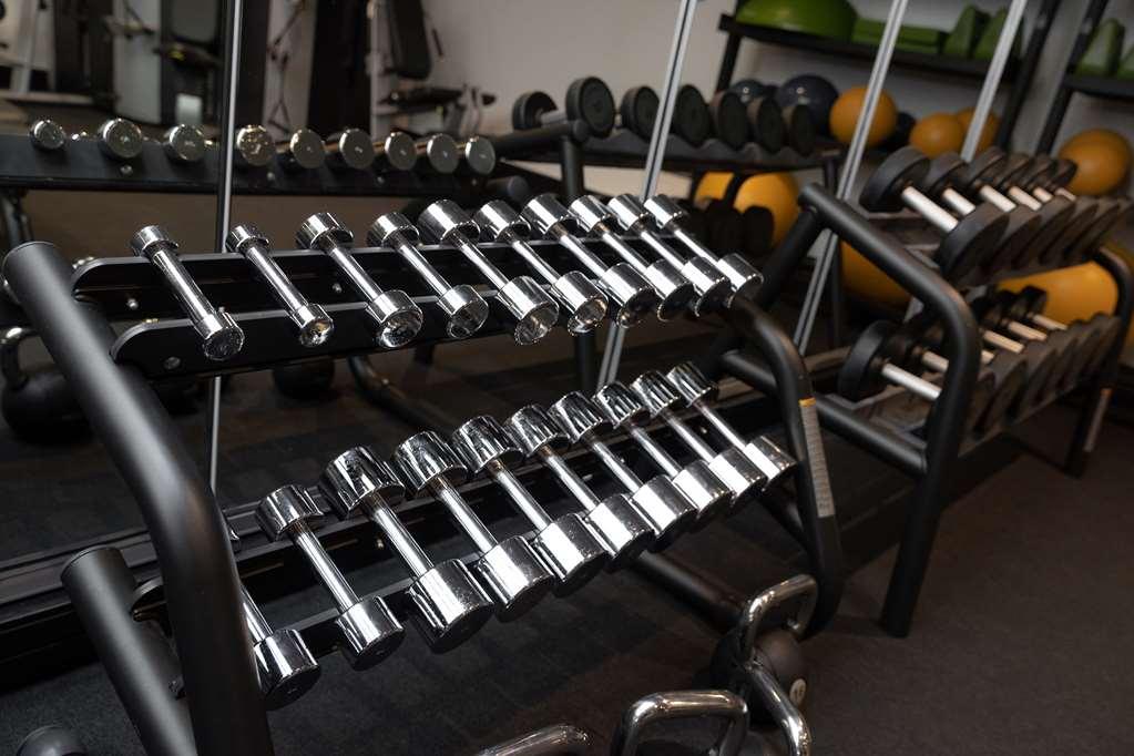 天际大酒店 奥克兰 设施 照片 Dumbbells on a rack